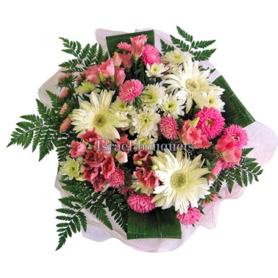 Нежные герберы